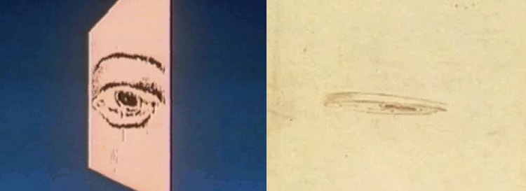 تصویر آنامورفیک یک چشم در کتاب لئوناردو داوینچی (سمت راست) تصویر آنامورفیک یک چشم در کتاب لئوناردو داوینچی (سمت راست)